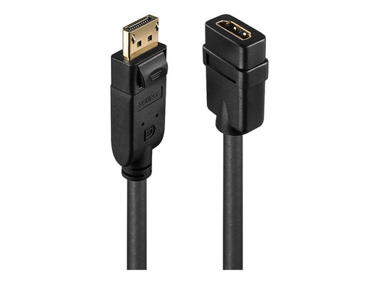 LINDY Convertisseur Passif DisplayPort vers HDMI