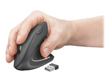 TRUST Souris sans fil ergonomique VERTO - Noire