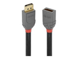 LINDY 1m DisplayPort Extension Cable Anthra Line
