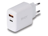 LINDY 65W USB Type A & C GaN Charger