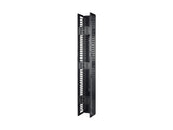 APC ValueLine Vertical Cable Manag 2 and 4 Post Racks 96p H X 12inch W Single-Sided with Door