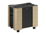 EPSON Mobile A/V Cabinet ELPCS01