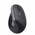 TRUST Souris egonomique BAYO II sans fil - Noire