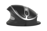 BAKKERELKHUISEN Souris Oyster Mouse sans fil