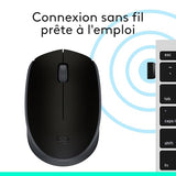 LOGITECH B170 Mouse optical 3 buttons wireless 2.4 GHz USB wireless receiver black