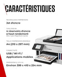 Canon MAXIFY GX6050 MegaTank Jet d'encre A4 600 x 1200 DPI Wifi