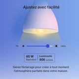 TP-LINK Smart Wi-Fi Light Bulb Multicolor 2-Pack