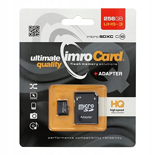 Carte Mémoire GoodRAM 256 Go (Avec Adaptateur carte SD)