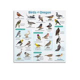 Samsung Galaxy A56 5G 8/128GB Rose