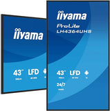 IIYAMA- Afficheur professionnel 43" LH4364UHS-B1AG