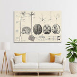 Samsung Galaxy A56 5G 8/256 Go Rose