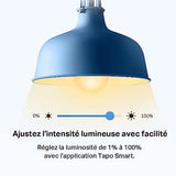 TP-LINK Smart Wi-Fi Light Bulb E27 Base