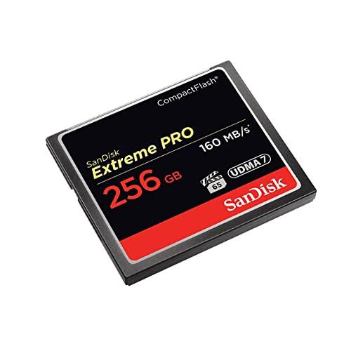 SANDISK Extreme Pro Carte CompactFlach - 256Go