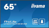 IIYAMA- Afficheur professionnel 65 LH6575UHS-B1AG