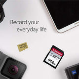 TRANSCEND 512Go UHS-I U3 Carte SD pour appareil photo numérique