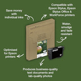 Cartouche EPSON C13T12954012 T1295 - Noir + 3 couleurs