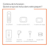 Gigaset A170 DUO Téléphone sans fil - 2 combinés
