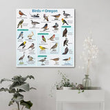 Samsung Galaxy A56 5G 8/128GB Rose