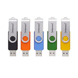 INTENSO Clé USB 2.0 Basic Line - Pack de 5 x 16 Go