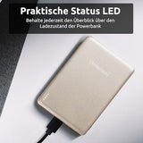 INTENSO Powerbank MW5000 5000 mAh 20 W champagne