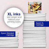 Cartouche EPSON C13T16244012 16 - Yellow