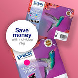 Cartouche EPSON C13T08054011 Série COLIBRI - Cyan Clair