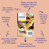 Cartouche EPSON C13T16244012 16 - Yellow