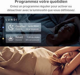 TP-LINK Smart Wi-Fi Light Bulb Multicolor 2-Pack