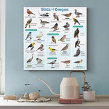 Samsung Galaxy A56 5G 8/128GB Rose