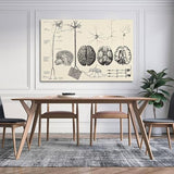 Samsung Galaxy A56 5G 8/256 Go Rose