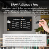 SONY- Afficheur professionnel 65 FW-65EZ20L