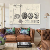 Samsung Galaxy A56 5G 8/256 Go Rose