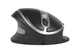 BAKKERELKHUISEN Souris Oyster Mouse sans fil
