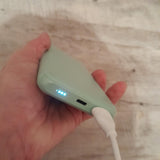 TRUST Powerbank LARO 100W USB-C pour ordinateur portable