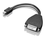 Lenovo 0B47090 câble vidéo et adaptateur 0,2 m Mini-DisplayPort SL-DVI Noir
