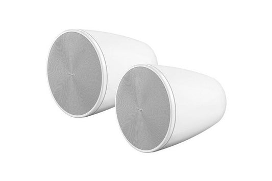 BOSE PRO Enceinte DesignMax DM6PE Blanc - La Paire