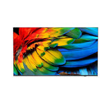 PHILIPS- Téléviseur MediaSuite 65 65HFL6214U/12