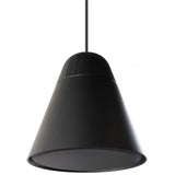 Biamp Desono P30DT-BK Enceinte suspendue HP 4.25" + tweeter, 30W 100V, noire