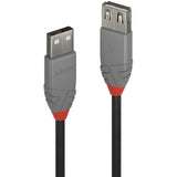 LINDY Rallonge USB 2.0 type A Anthra Line 3m