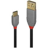 LINDY Câble Adaptateur USB 2.0 Type C vers A Anthra Line 0.15m