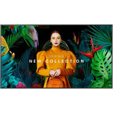 Samsung QH65C Écran d'affichage digital 65 pouces 4K Ultra HD (Ultra Slim Depth)