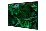 PHILIPS - Afficheur professionnel 50" 50BDL3650QE/00