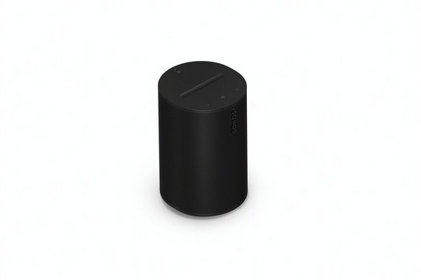 SONOS- Enceinte ERA 100- Noir