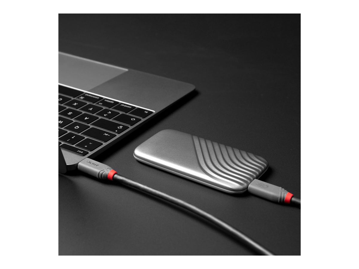 LINDY 0.8m USB 4 240W Type C Cable Anthra Line