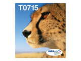 EPSON 2LB EasyMail MP Cheetah DURABrite Ultra CMYK