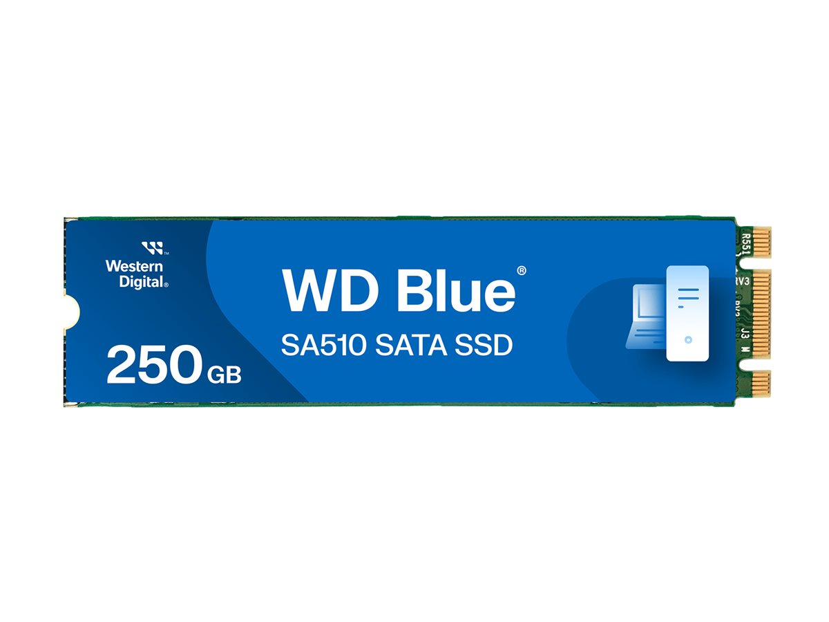 WD Blue SA510 SSD 250Go M.2 2280 SATA III 6Gb/s internal single-packed POWERED BY SANDISK