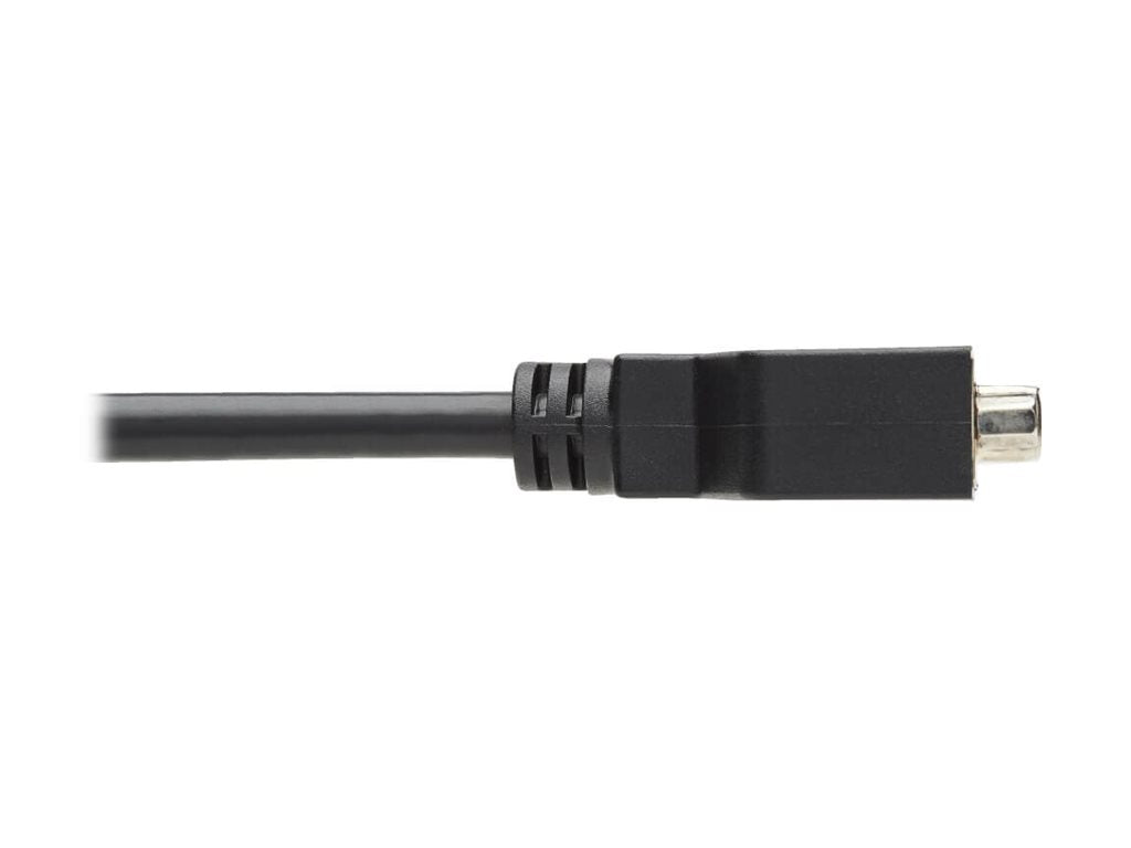EATON TRIPPLITE DisplayPort to DVI-I Adapter Cable M/F 6 in. 15.2cm Display adapter DisplayPortM to DVI-I F 15cm molded
