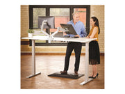 FELLOWES BRAS ARTICULE DOUBLE ECRAN EPPADUAL Silver jusqu’à 39 POUCES