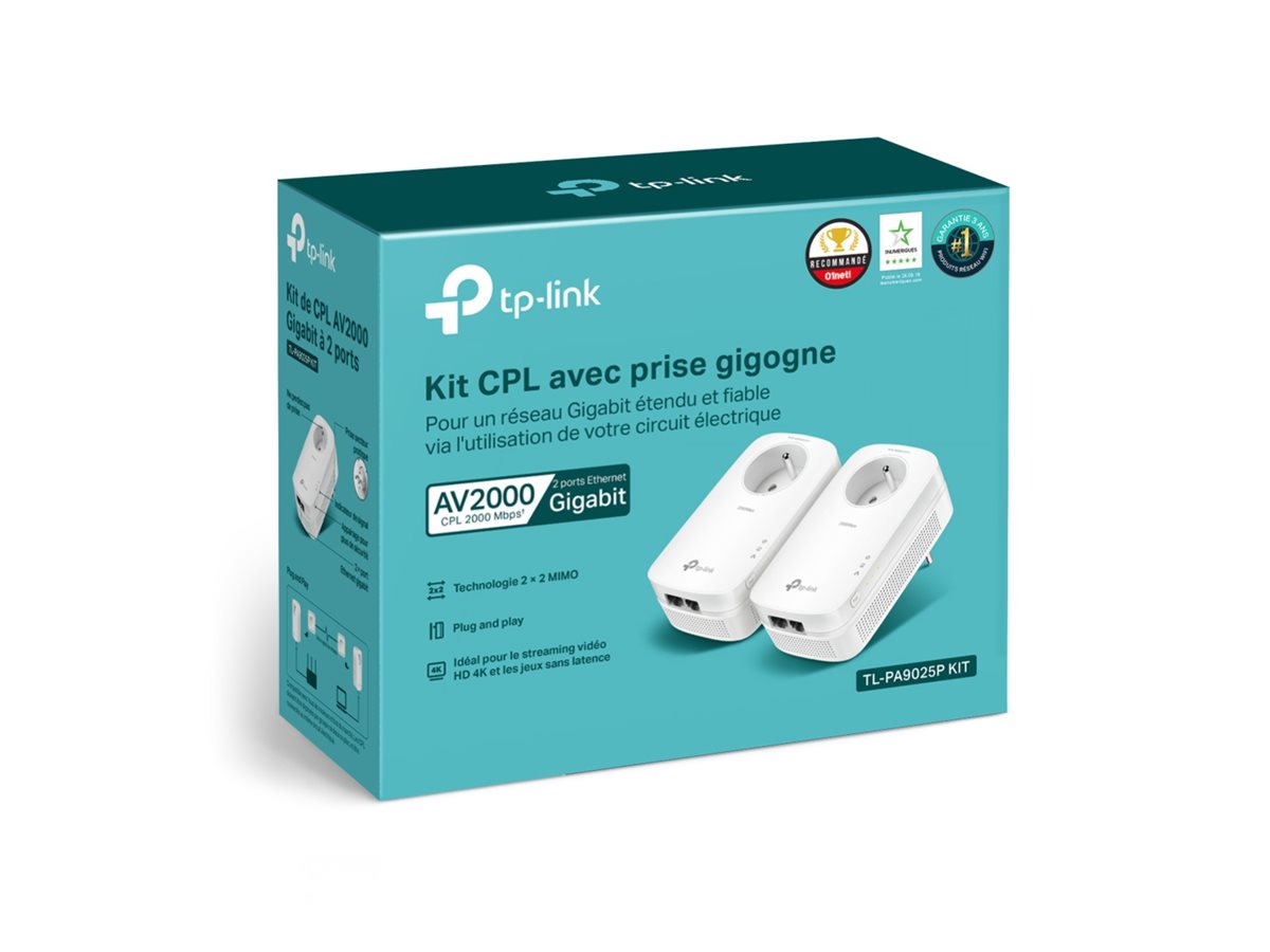AV2000 2-Port Giga.Passth.Powerl.kit