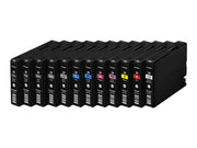 Ink/PGI-29 Cartridge Photo CY